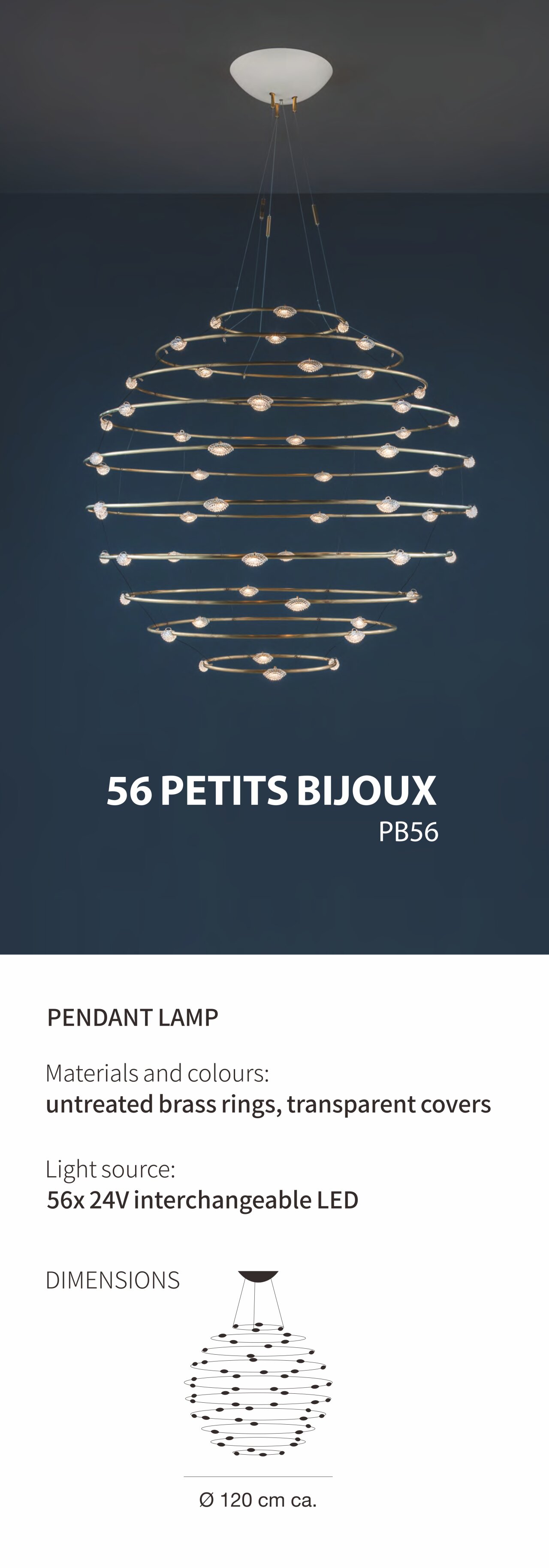 56 PETITS BJOUX-1